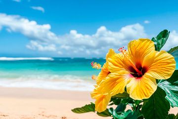 Hibiskusblüte am sonnigen Strand von Poster Art Shop