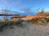 Dunes et autres