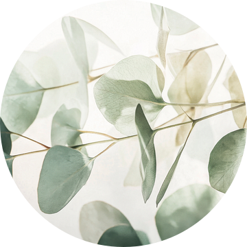 Eucalyptusbladeren van Poster Art Shop