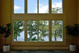 Looking outside