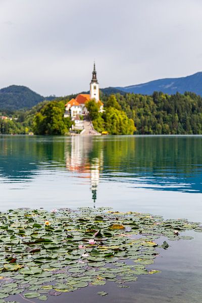 Seerosen und die Kirche von Bled von Louise Poortvliet