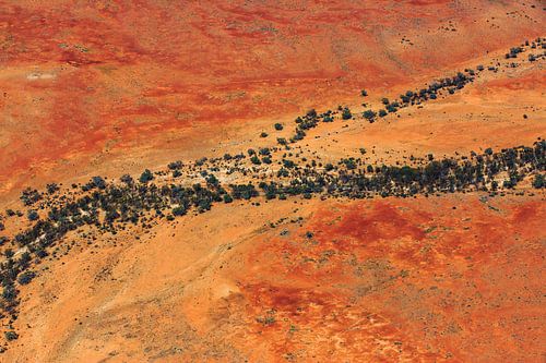 Bomen langs een droge rivier door de dorre outback woestijn van Australië