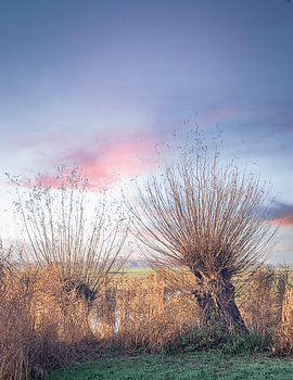 The Groningen countryside at its most beautiful