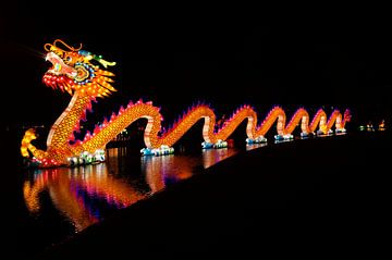 China lights van Andrea Ooms