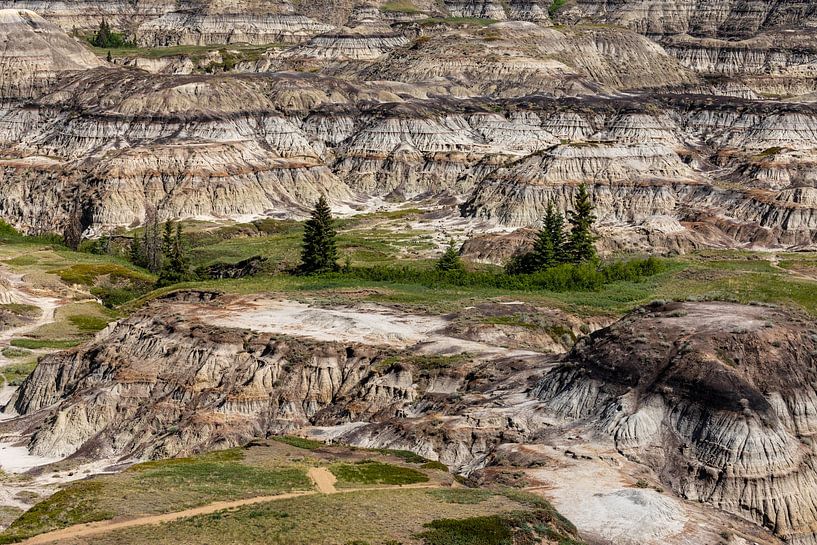 Der Horseshoe Canyon in Alberta Kanada von Roland Brack