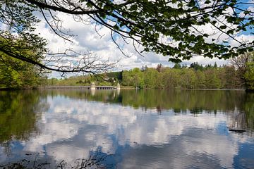 Neyetalsperre, Bergisches Panoramasteig, Bergisches Land, Duitsland van Alexander Ludwig