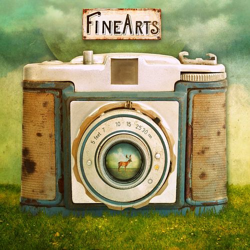 Fine Arts by Marja van den Hurk
