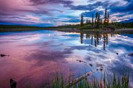 Middernachtzon in Alaska van Denis Feiner thumbnail
