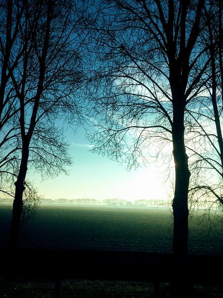 Nature View by Esther Tonnaer