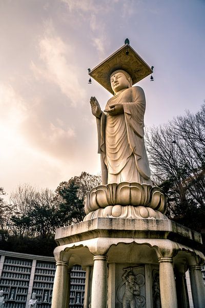 Buddha in Bongeunsa in Seoul van Mickéle Godderis