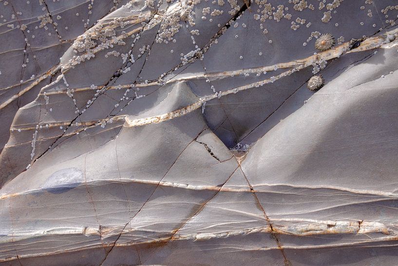 Sandymouth-Bucht 12 von Ralph Jongejan