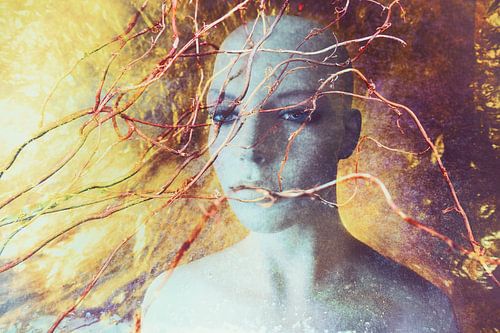 Liberation by Marijke de Leeuw - Gabriëlse