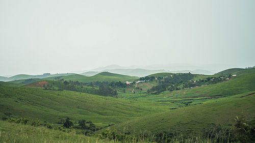 Duizenden laagjes in de hoogvlaktes van Nigeria