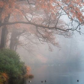 Fog around the pond van Bart Hendrix