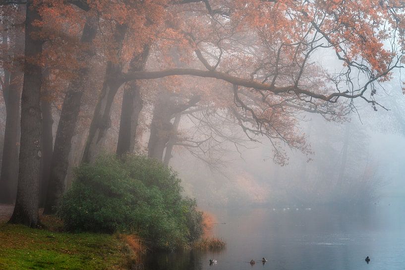 Nebel um den Teich von Bart Hendrix