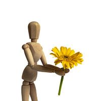 Houten pop met gerbera