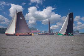 Skûtsjezeilen in Friesland by Brian Morgan
