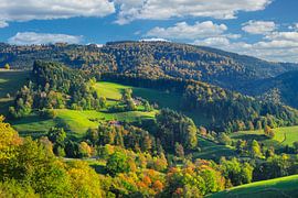 Black Forest in Autumn by Markus Lange
