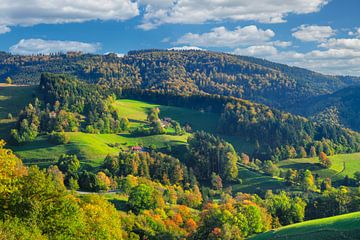 Schwarzwald im Herbst von Markus Lange
