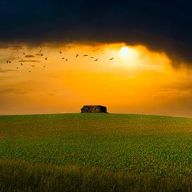 Bunker in the landscape by Niels Hemmeryckx