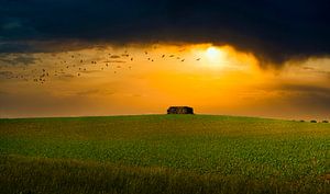 Bunker in der Landschaft von Niels Hemmeryckx