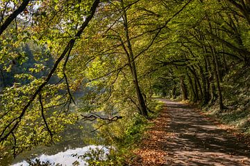 Herfstbosweg langs de Lahn van Flatfield