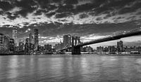 Panoramablick auf Südmanhattan (New York City) vom Brooklyn Bridge Park von Carlos Charlez Miniaturansicht