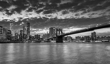 Panoramisch uitzicht op South Manhattan (New York City) vanaf Brooklyn Bridge Park van Carlos Charlez