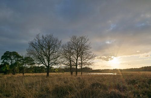 Zonsondergang Karreveen Dwingelderveld - Drente (Nederland)