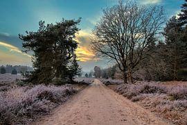 Le ciel est en feu pendant le lever du soleil sur Rick van de Kraats