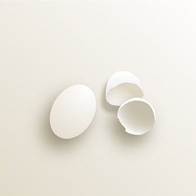 Ei mit Eierschalen von Jan van de Laar