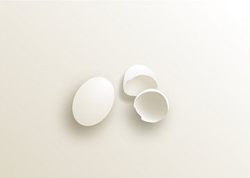Eitje met eierschalen van Jan van de Laar