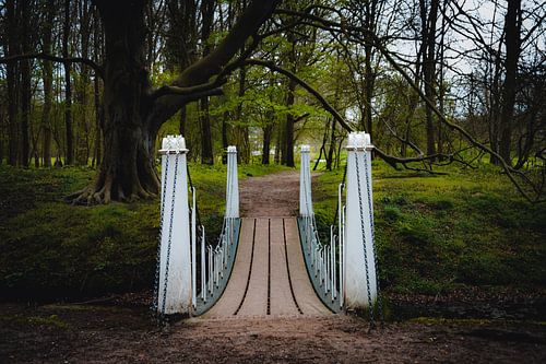 Witte brug in bos