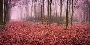 Hike in autumn