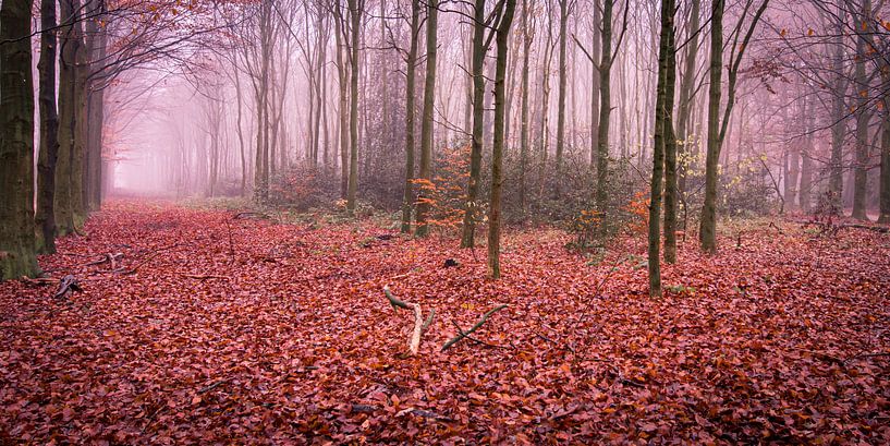 Randonnée en automne par Marcel Pietersen