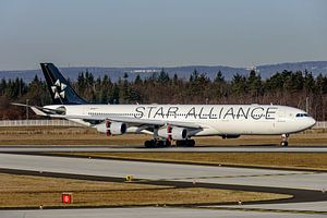 Lufthansa Airbus A340-300 in den Farben der Star Alliance.