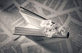 Bloeiende boek von Ella Mintjes