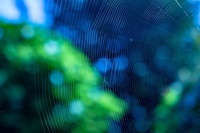 Spinnewebclose-up met groene en blauwe bokeh van Gea Gaetani d'Aragona