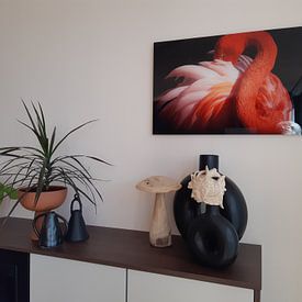 Kundenfoto: Flamingo, Makoto Nishikura von 1x, auf alu-dibond