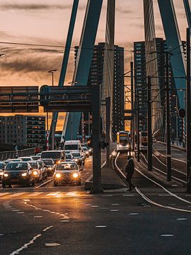 Erasmusbrug in de avond van Jelte Lagendijk