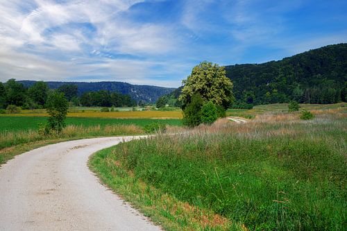 Fietspad in het idyllische Altühltal