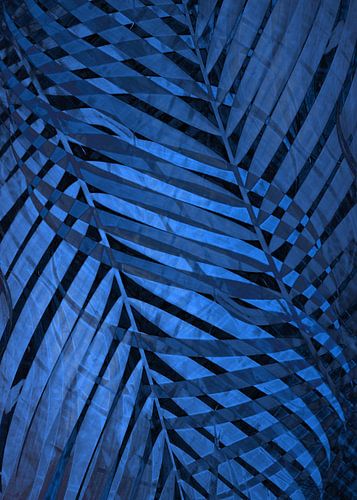 TROPICAL NEBULAS BLUE LEAVES PATTERN no3