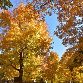 At the cemetery in autumn by Claude Laprise
