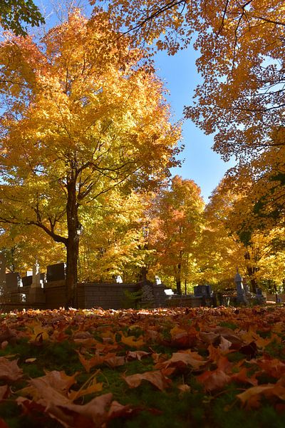 At the cemetery in autumn by Claude Laprise