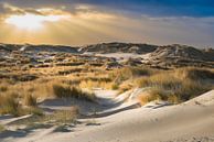 De duinen van Terschelling van Gerard Wielenga thumbnail