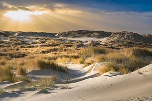 De duinen van Terschelling van Gerard Wielenga