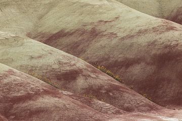 Painted Hills in the John Day Fossil Beds National Monument at Mitchell City, Wheeler County, Northe von Frank Fichtmüller