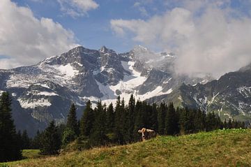 ALPEN 1 by Miroslav Ptacek