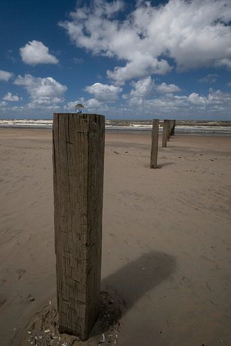 Lensbal op strandpaal Noordzeestrand