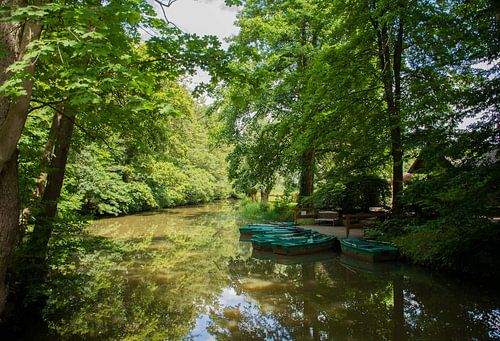 Roeibootjes in een prachtig natuurgebied